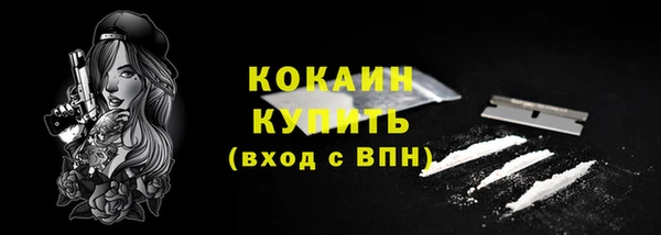 дмт Щёлкино