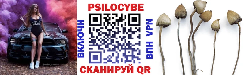 kraken ссылки  Кодинск  Псилоцибиновые грибы мухоморы 